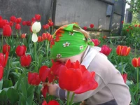  поисках кармы.webp