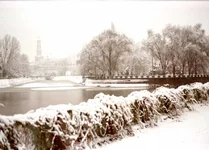 6a.webp