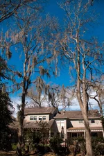 sky.webp