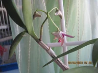 IMG_0452.webp