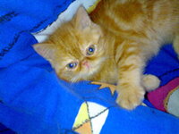 01022010415.jpg