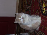 100_1613.jpg