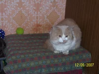 100_1398.jpg