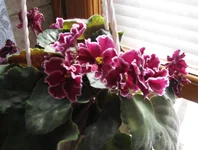 IMG_5322.webp