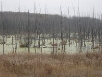 0_2574b_afac3370_L.jpg