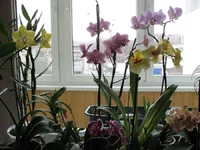 jjjjjjjjjjjjjjjjjjjjjjjjjj 009.webp