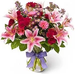 .webp