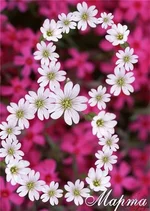 e8a330e01284.webp