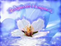 o6.webp