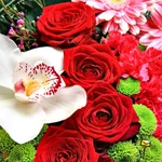 0124_1_500_1.webp