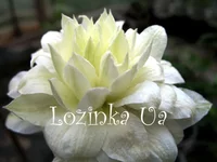 Lucie Lemoine 2006 2копирование_enl.webp