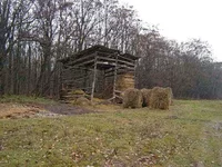 0_305e8_841f1b63_L.webp