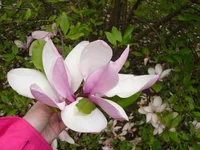 DSC04775.webp