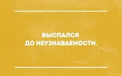 201512170004-vyspalsya-do-neuznavaemosti-kashamalasha-com.webp