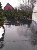 IMG_20180211_110915.webp