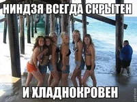 IMG_1118.webp
