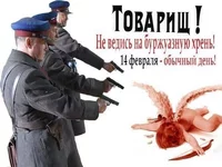 14.02.webp