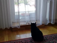 IMG_1202181.webp