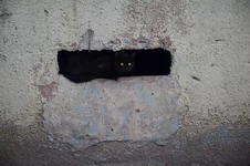 _блюхера_18.02.webp