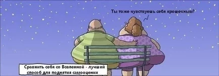 OzaILf9s4qE.webp