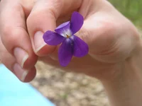 DSCN0995.webp