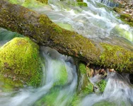 wallpaper_Uch Kosh.webp