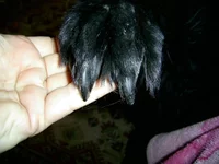 PIC_0003.webp