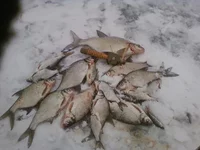-0033.webp