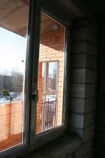 IMG_0523.webp