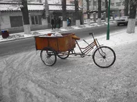 1010290-1.webp