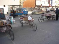 P1010397-1.webp