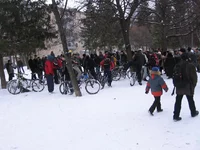  246.webp