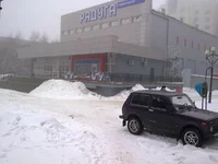 010.webp