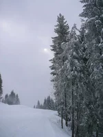 42. Солнце сквозь облака.webp