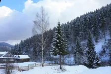 47. Пейзаж заднего двора.webp