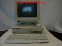 bull.webp