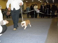 SDC10741.webp