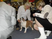 SDC10745.webp