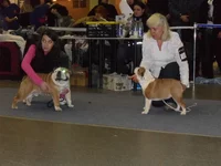 SDC10747.webp SDC10747.webp