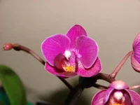 DSC01251.webp
