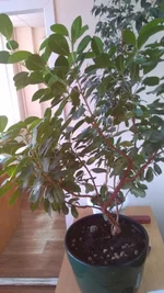 IMG_20180222_164755.webp