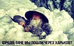 DXINzctW4AABZ-X.jpg large.webp
