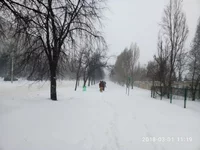 P80301-111940.webp