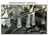  херушки.webp