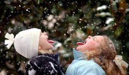 image.webp