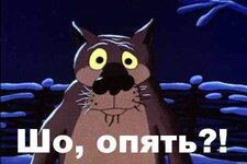 1478124383_volk.jpg