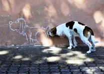 1477808584_1.webp