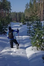 IMGP9904.webp