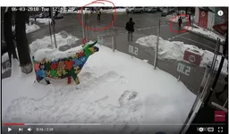 Capture.webp