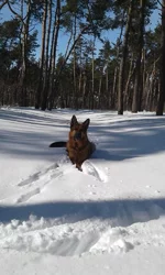 20180306_133337.webp